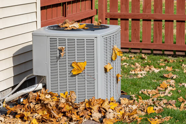 Best Local HVAC companies  in Bellevue, IL